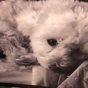 Meet your Posher, Tami